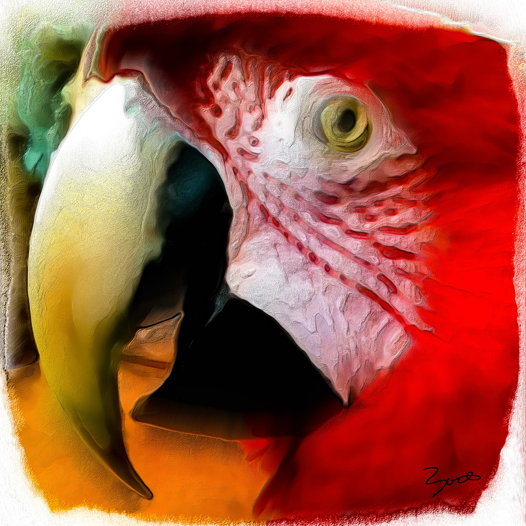 Digital painting close-up of a green-winged macaw's head with pale striated cheek, cream beak and crimson plumage.